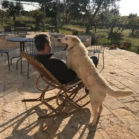 Quattrolinari Летний дом