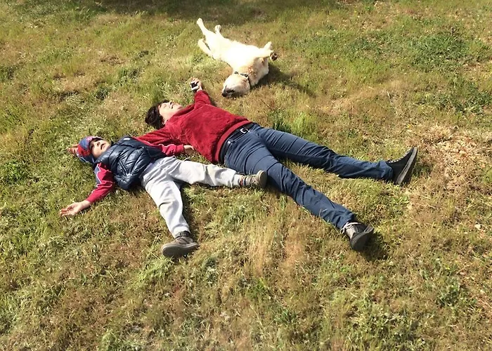 Lantställe Quattrolinari *