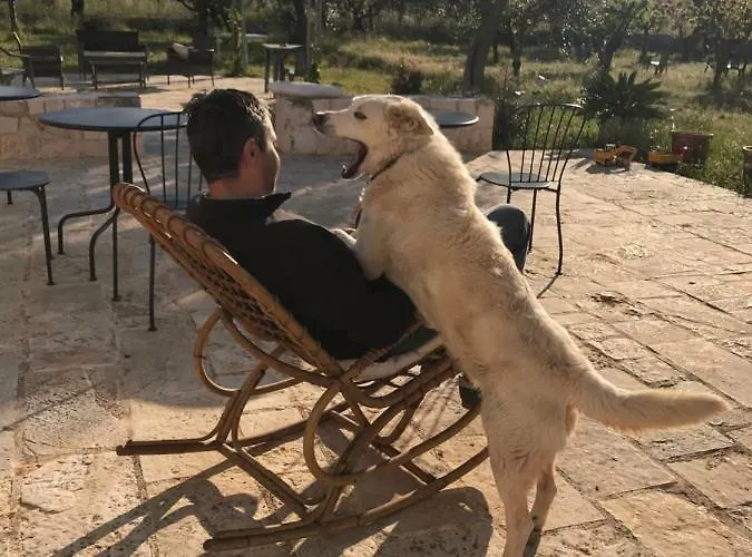 Quattrolinari Lantställe