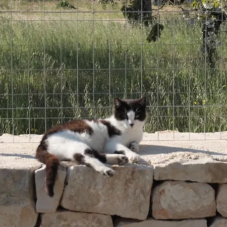 Quattrolinari בית כפרי *